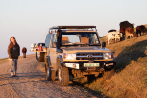 WildWeb Landcruiser